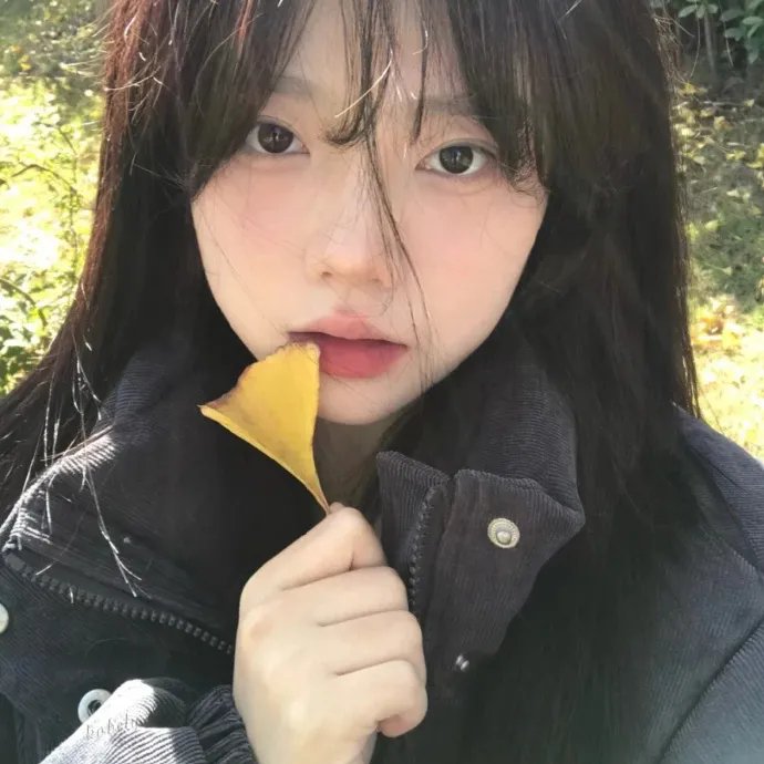 李瑞镇的纽约纽约2