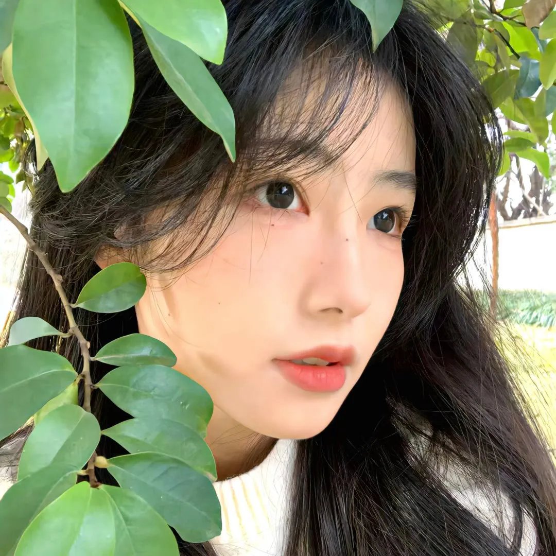 下颌骨